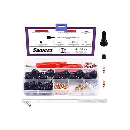 Swpeet Lot de 65 outils de retrait et d’installation pour valve de pneu avec tiges de valve à tête unique et double tête pour re